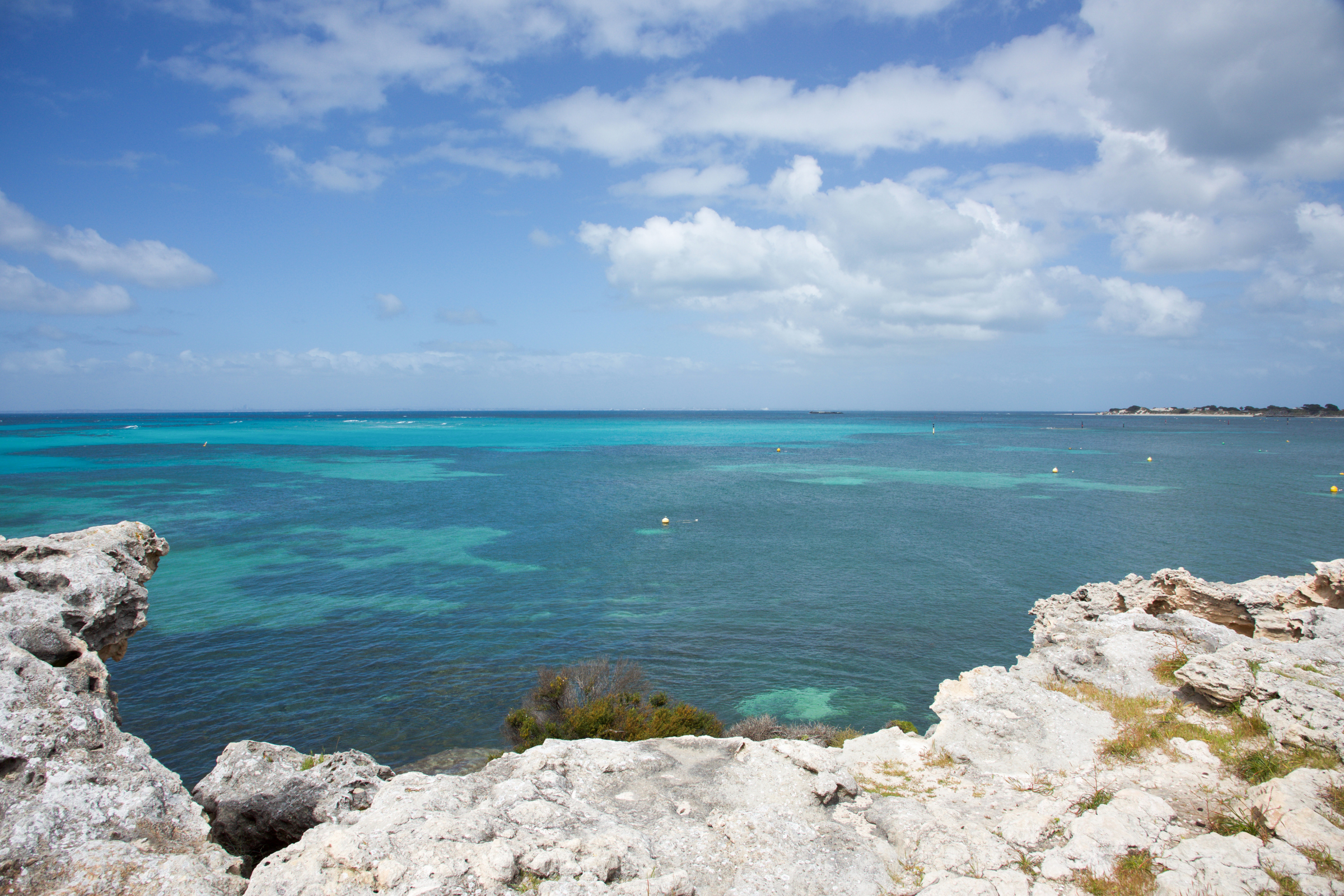 kolombangara island (4).webp